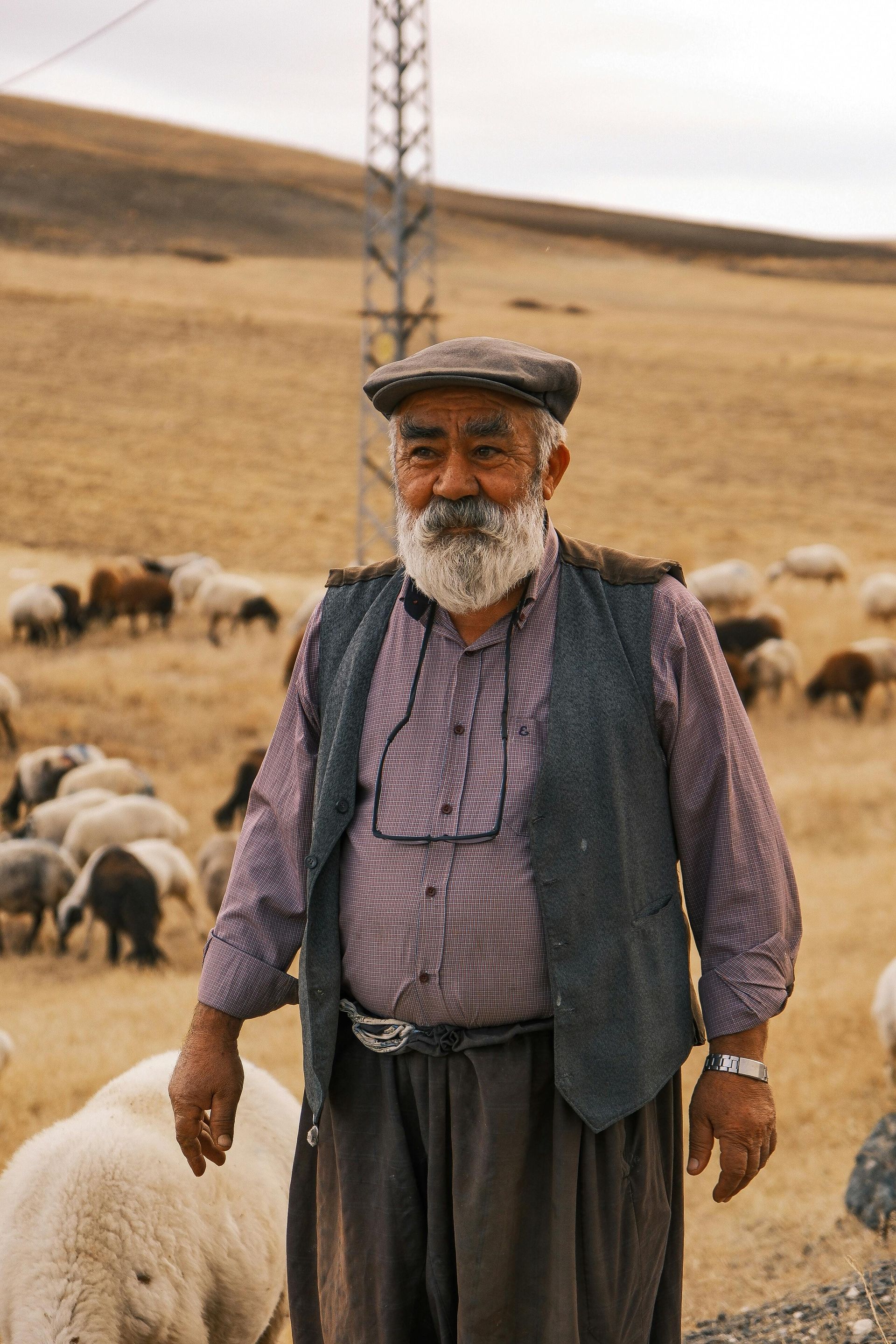 Pexels Ebahir 34382080